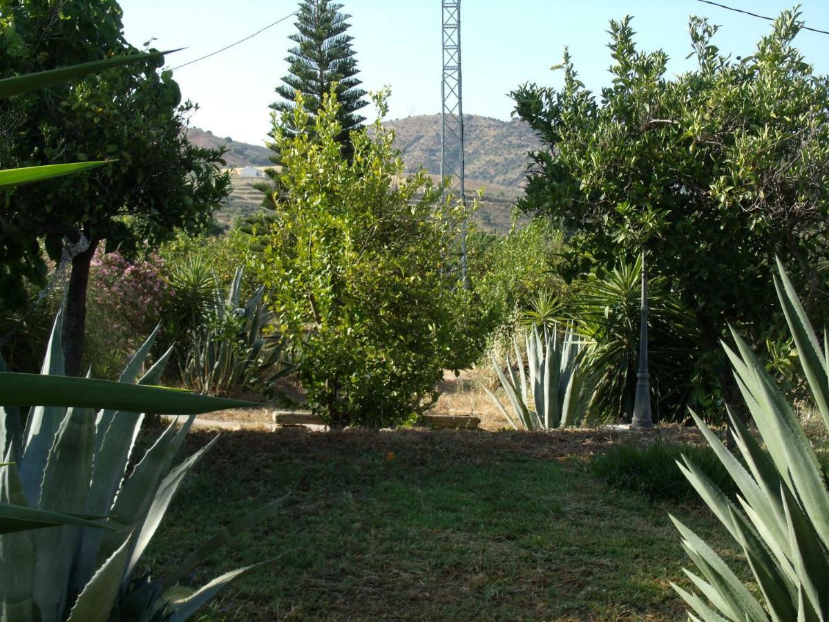 La Finca Blanca Alora Exterior photo