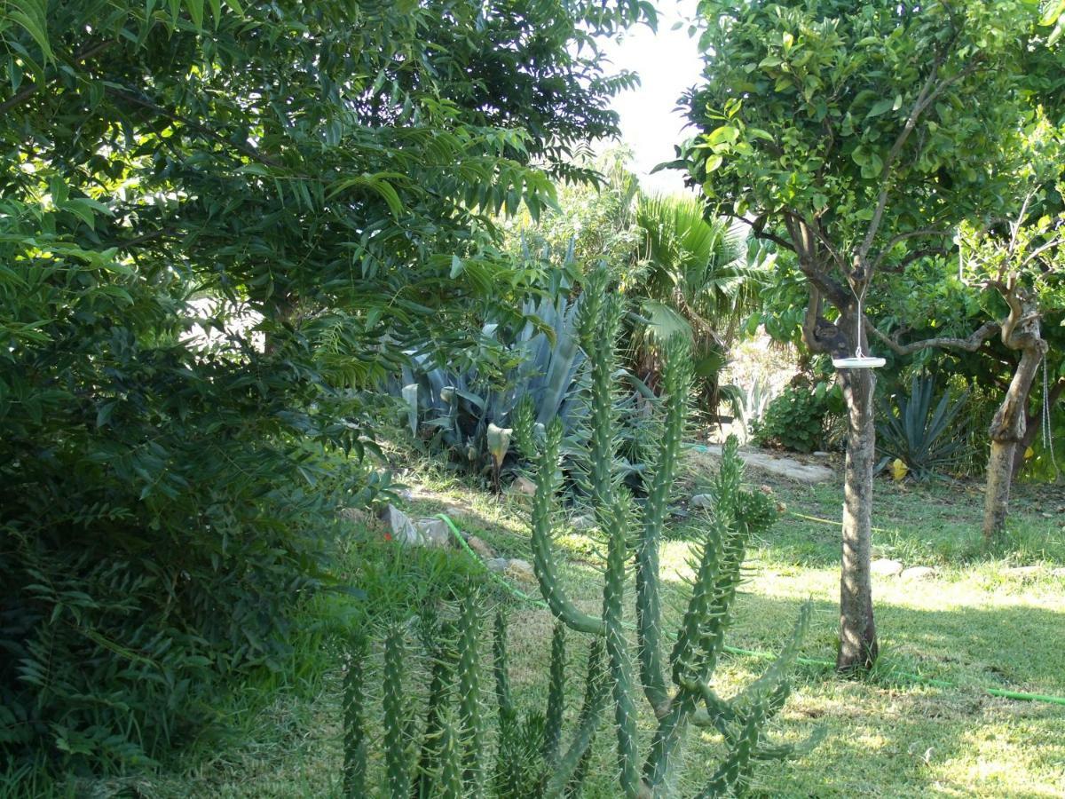 La Finca Blanca Alora Exterior photo
